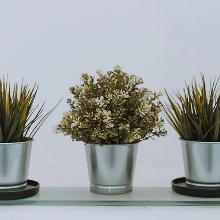 Сasa de vacaciones Ammos 1