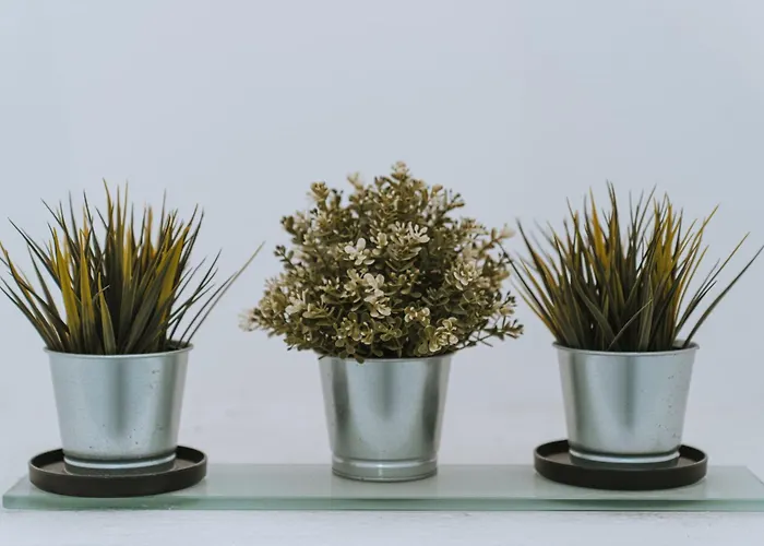 Casa de Férias Ammos 1